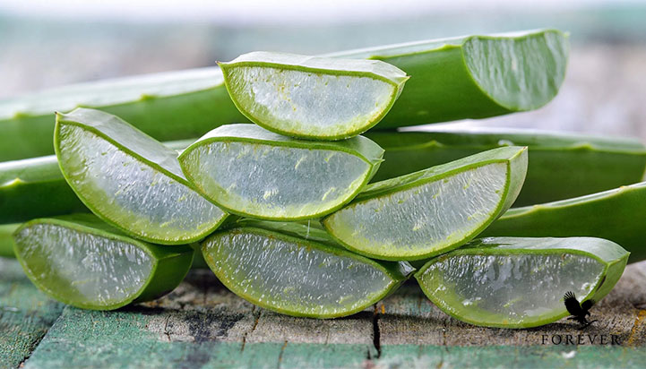 نکات لازم قبل از مصرق آلوئه ورا